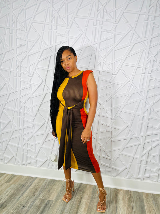 Falling in Color Block Waist Tie Dress